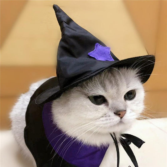 Enchanting Pet Halloween Wizard Costume Set