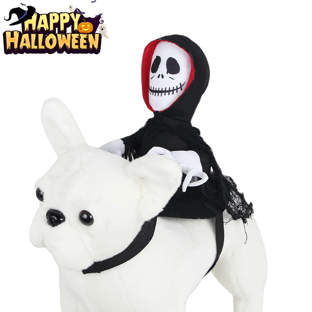 Scary Spider Rider Pet Halloween Costume