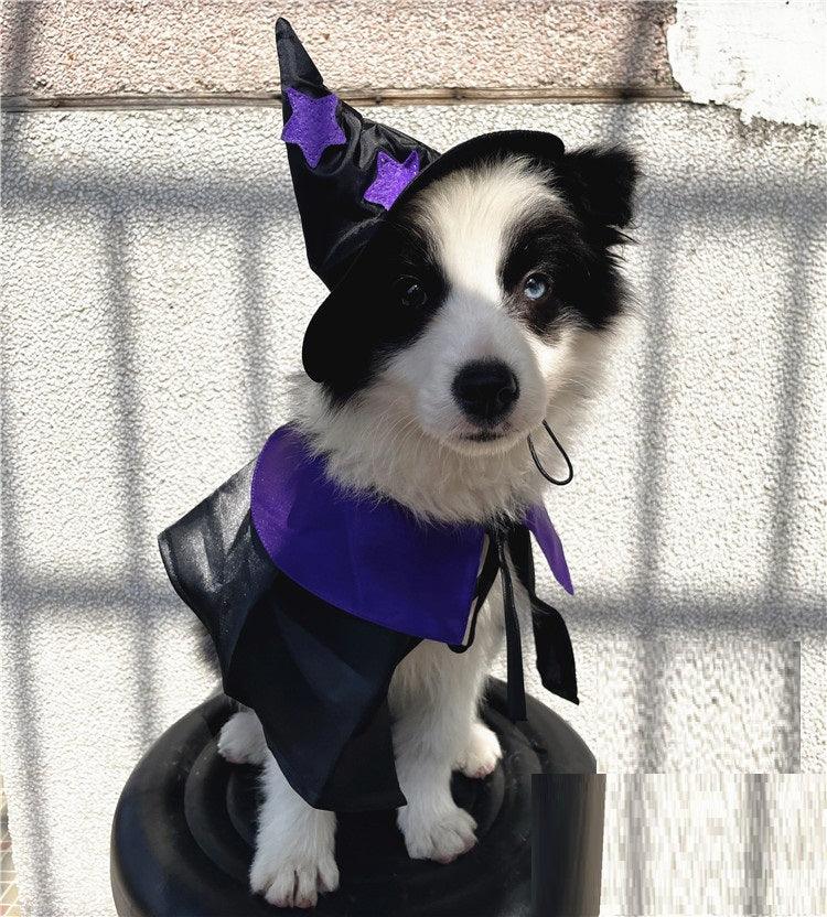 Enchanting Pet Halloween Wizard Costume Set