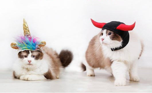 "Unicorn VS Devil" Pets Halloween Costume Hats