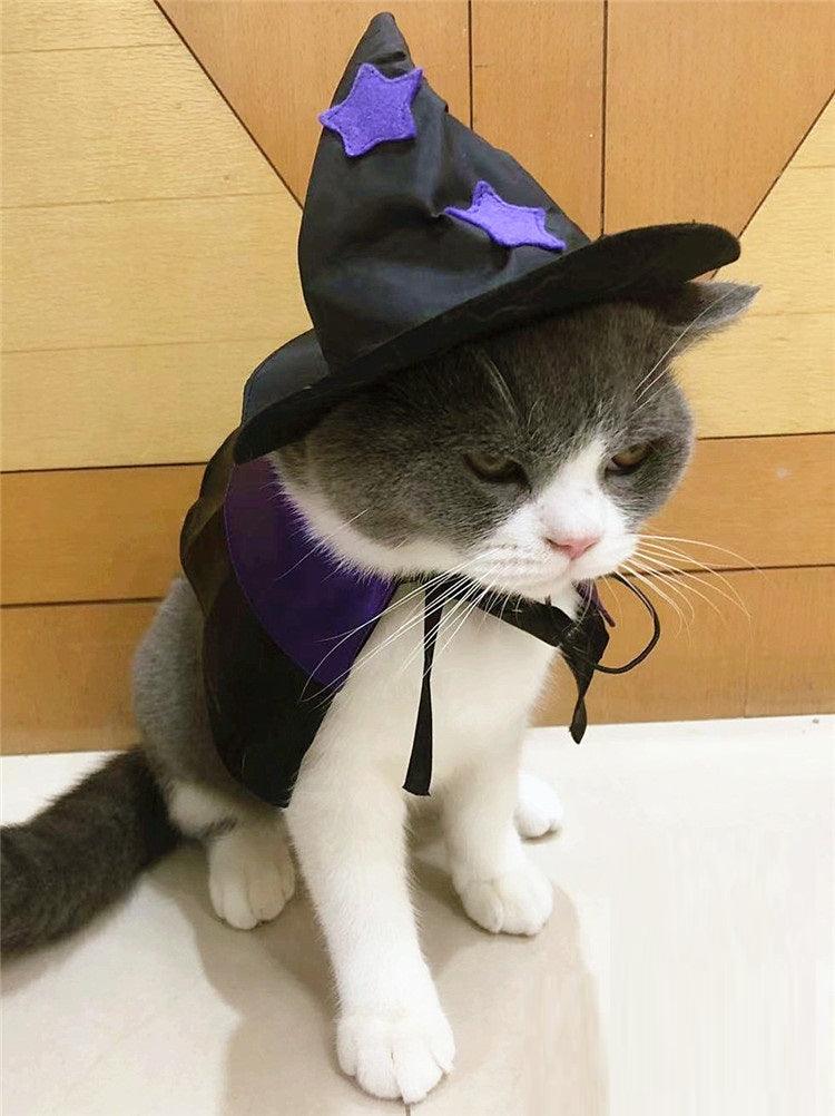 Enchanting Pet Halloween Wizard Costume Set
