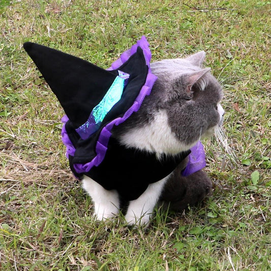 Christmas Enchanter Pet Halloween Dog Costume